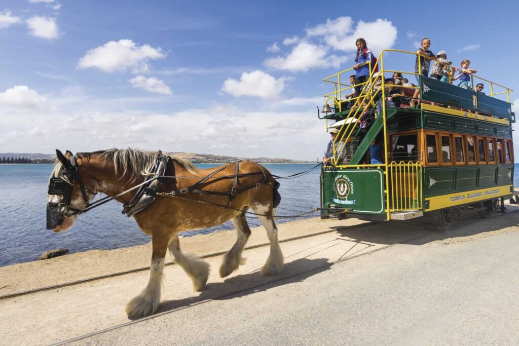 Take a horse-drawn tram 