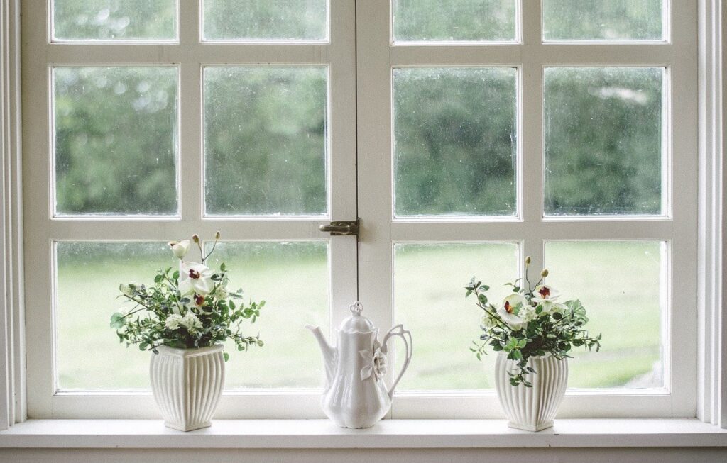 white window, two home plants, and a teapot