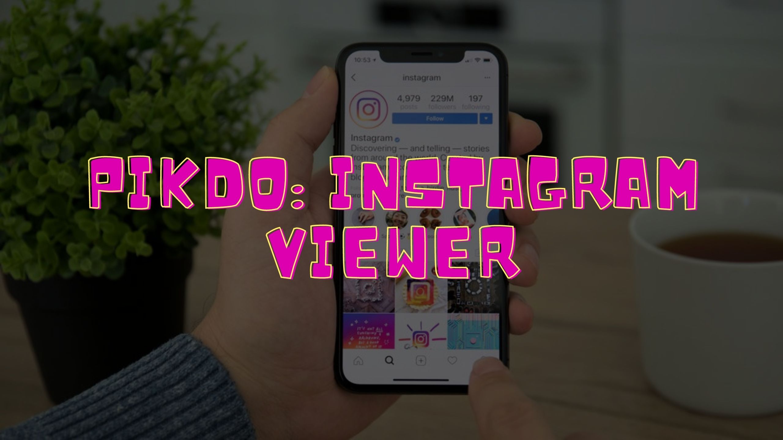 Pikdo | All about Instagram Viewer