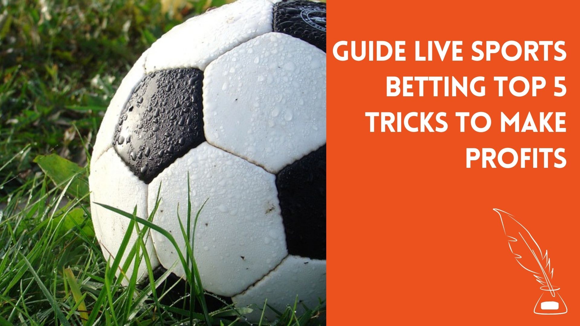 Guide Live Sports Betting Top 5 tricks to make profits