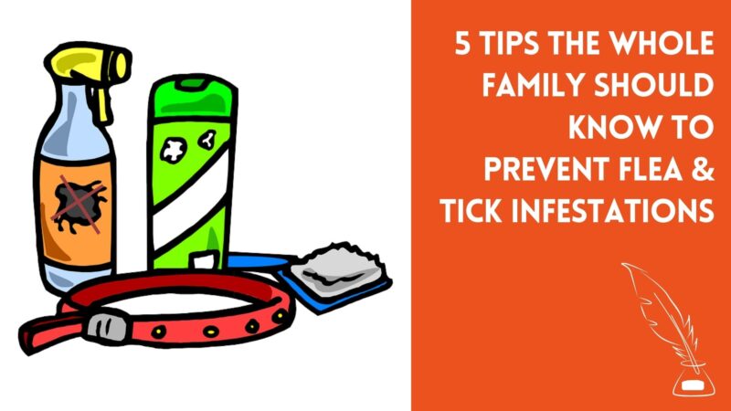 5 Tips The Whole Family Should Know To Prevent Flea & Tick Infestations