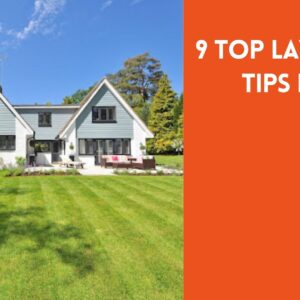 9 Top Lawn Care Tips for 2022