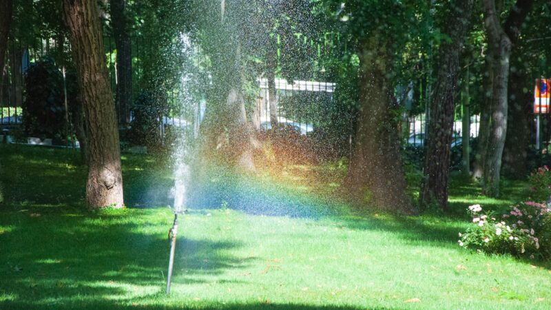 How To Diagnose the Most Common Sprinkler Problems