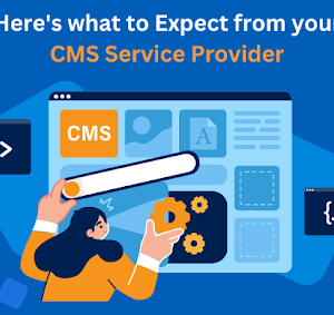 What to Expect from CMS Development Services?